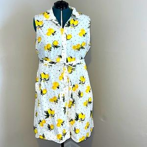 Cotton Lemon Print Poplin Dress, 3X